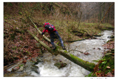 01.01.2010. Papuk
