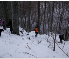 papuk036