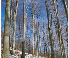 ng_papuk_00004