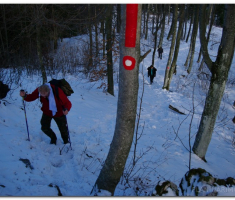 ng_papuk_00020