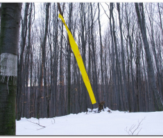 ng_papuk_00037