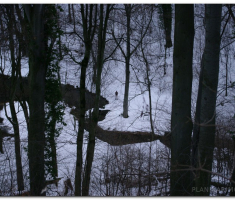 ng_papuk_00041