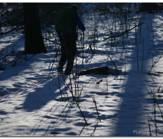 papuk_novogodisnja_00013