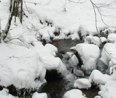20150101_papuk_005