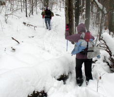 20150101_papuk_008