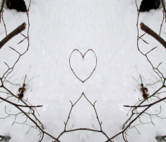 20150101_papuk_014