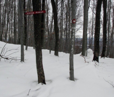20150101_papuk_015