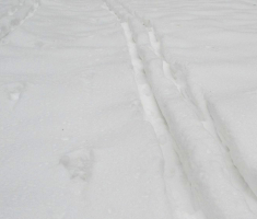 20150101_papuk_023