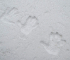 20150101_papuk_027