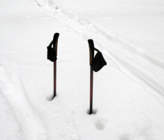 20150101_papuk_031