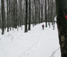 20150101_papuk_033