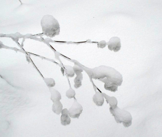 20150101_papuk_034