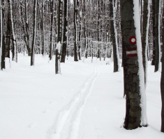 20150101_papuk_039