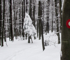 20150101_papuk_041