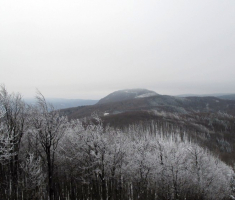 20150101_papuk_049