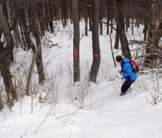 20150101_papuk_051