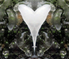 20160101_papuk_008