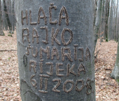 20160101_papuk_035