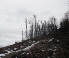 20160101_papuk_039