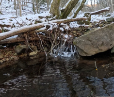 20260101_novogodisnji_pohod_005