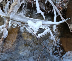 20260101_novogodisnji_pohod_006