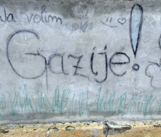 20150201_krndija_006