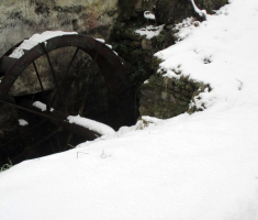 20150201_krndija_007