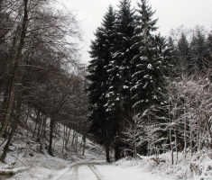 20150201_krndija_009