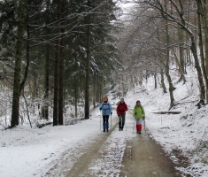 20150201_krndija_011