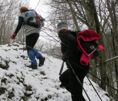 20150201_krndija_014