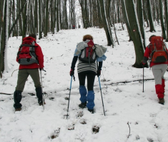 20150201_krndija_019
