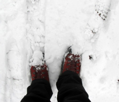 20150201_krndija_020