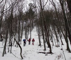 20150201_krndija_021