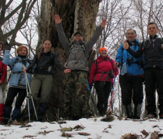 20150201_krndija_039