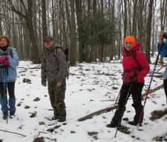 20150201_krndija_041
