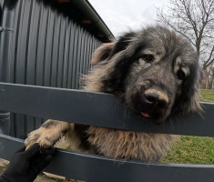 20260118_4_kolo_dls_011