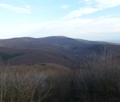 23-pogled-sa-nevoljasa