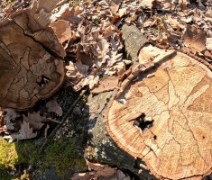 20260301_ivanovi_planinari_035