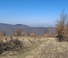 20260301_ivanovi_planinari_046