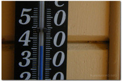 01.07.2012. - Papuk