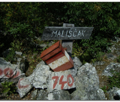 papuk_maline_00006