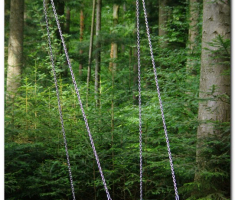 schwarzwald_00002