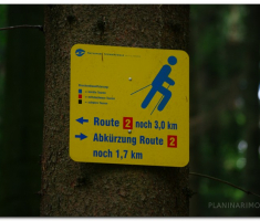 schwarzwald_00006