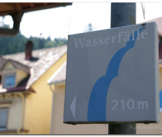 schwarzwald_00013