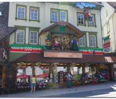 schwarzwald_00014