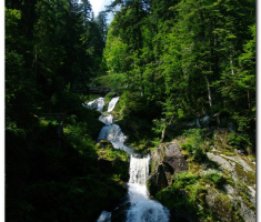 schwarzwald_00017