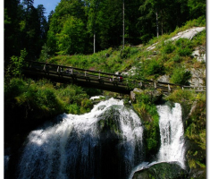 schwarzwald_00018