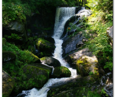 schwarzwald_00021