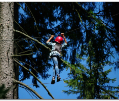 schwarzwald_00026