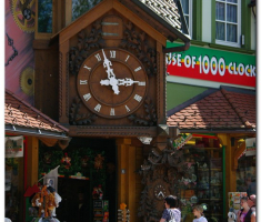 schwarzwald_00030